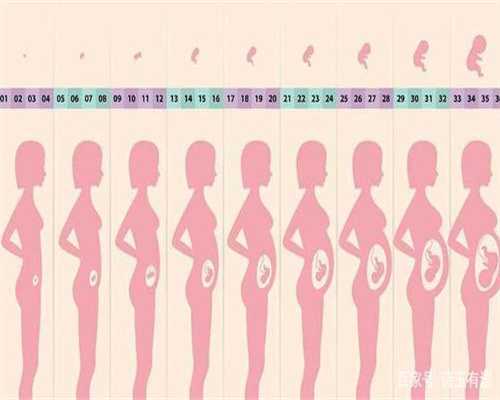 代孕前补充叶酸的6个注意事项_提供代殖孕多少钱