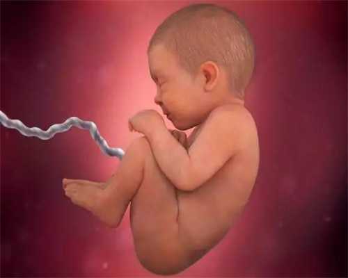 代孕妇营养不良会不会造成胎儿畸形_人工受孕用