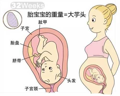 北京海外试管：排卵日五天后安全么
