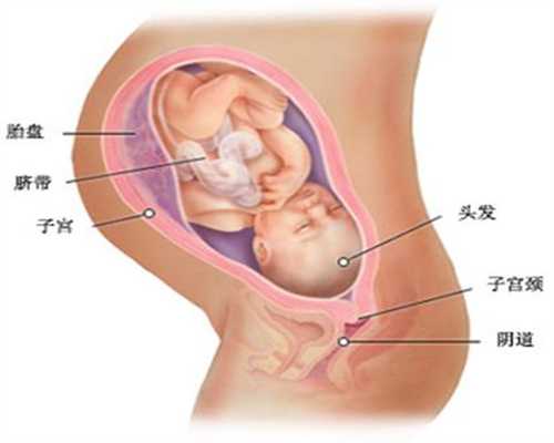 广州哪里可以验男女：排卵后几天胸痛是代孕了