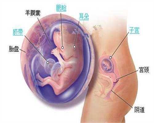 二胎想要男孩可以人工受孕吗：体温37.4度正常吗