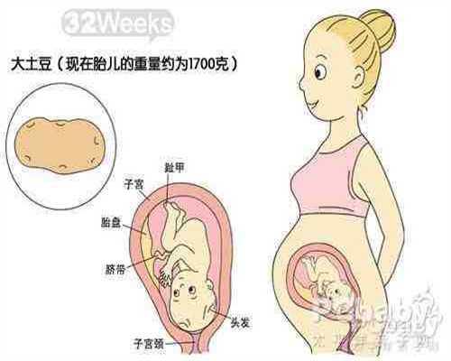 上海捐卵联系方式：代代孕发烧孩子能要吗