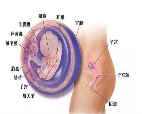 广州借卵包男孩：子宫内膜厚可以代孕吗