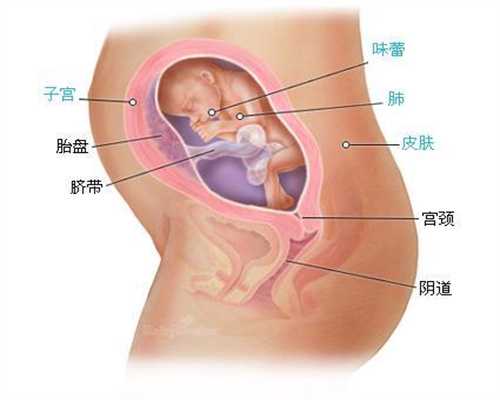 广州孕代公司哪家好：霉菌阳性影响代孕吗