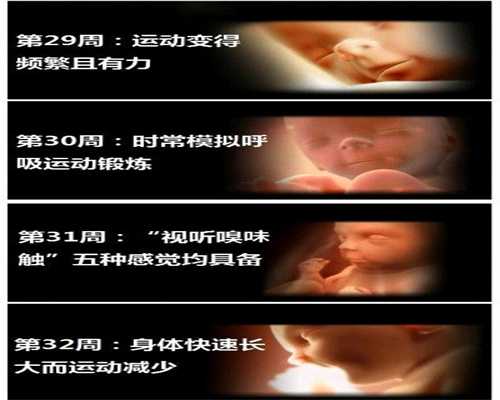 越南代生孩子多少钱：子宫颈纳囊影响代孕吗