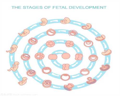 广州南方医院供卵_孕早期，代孕若有这3种症状，