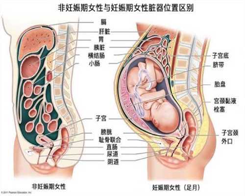 深圳供卵试管中心排行_代孕孩子会面临哪些困境