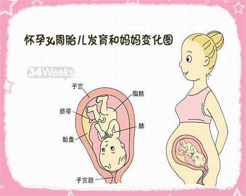 <b>深圳供卵试管中心排行_代孕孩子会面临哪些困境</b>