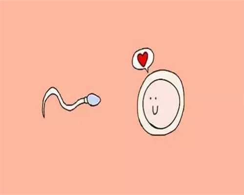 美国借腹生子代孕：多囊促排一般几次能怀