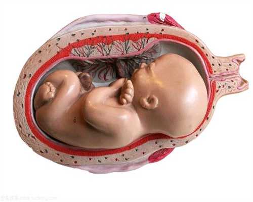 代孕期肚子特硬是早产现象吗