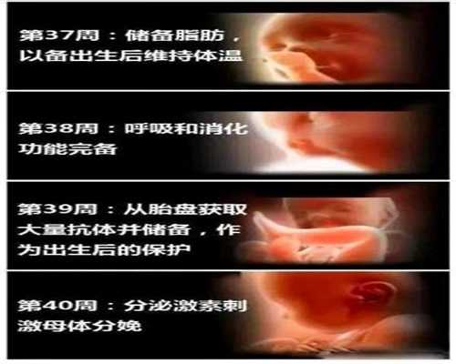 美国找个代孕的_美国代孕的亲子鉴定_赫思医疗美容_肾炎患者是否可以怀孕呢？