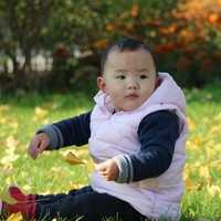 2022年北京试管婴儿做一对龙凤胎多少钱？