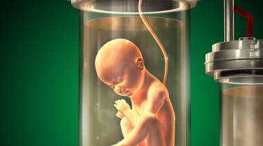 供卵 哪个医院_美国治不好卵巢早衰供卵助孕_赴泰试管婴儿胚胎移植有哪几种移